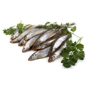 Boquerón gordo
