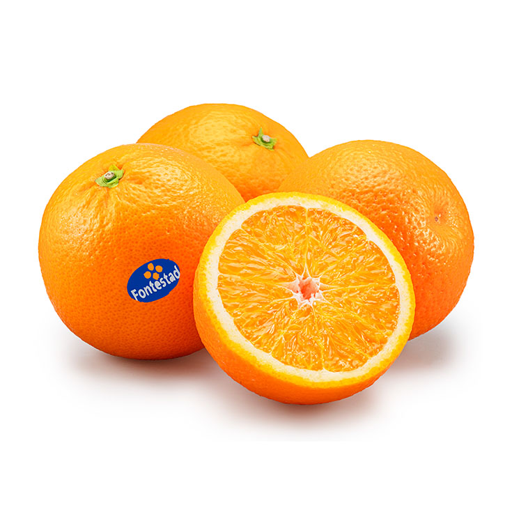 Naranja de mesa Fontestad