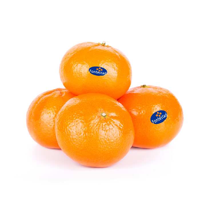 Mandarina Fontestad