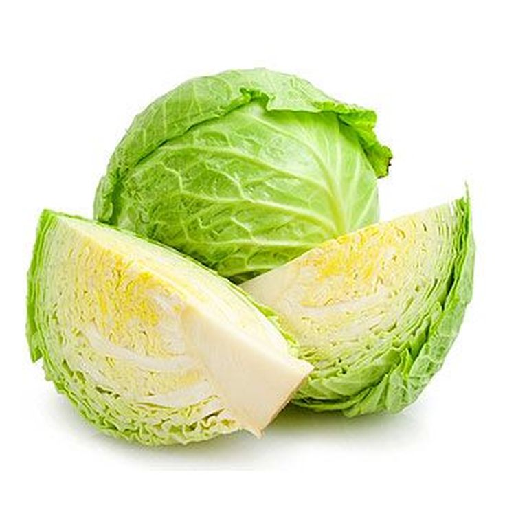 Repollo