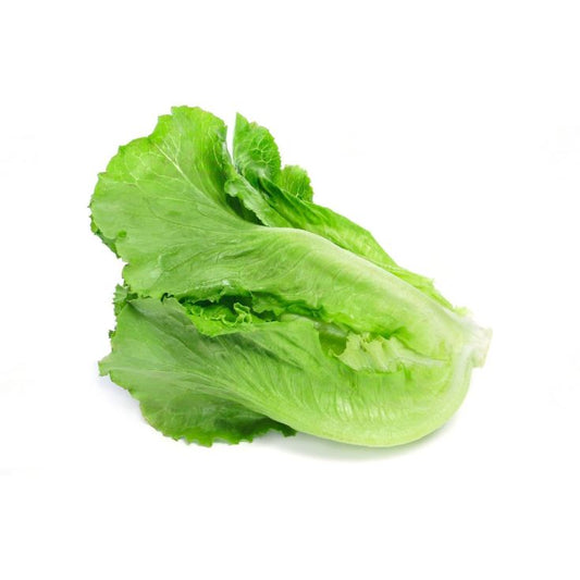 Lechuga unidad 380 gramos aprox. La Despensa