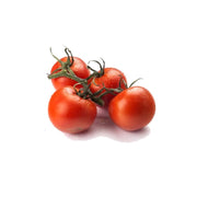 Tomate rama