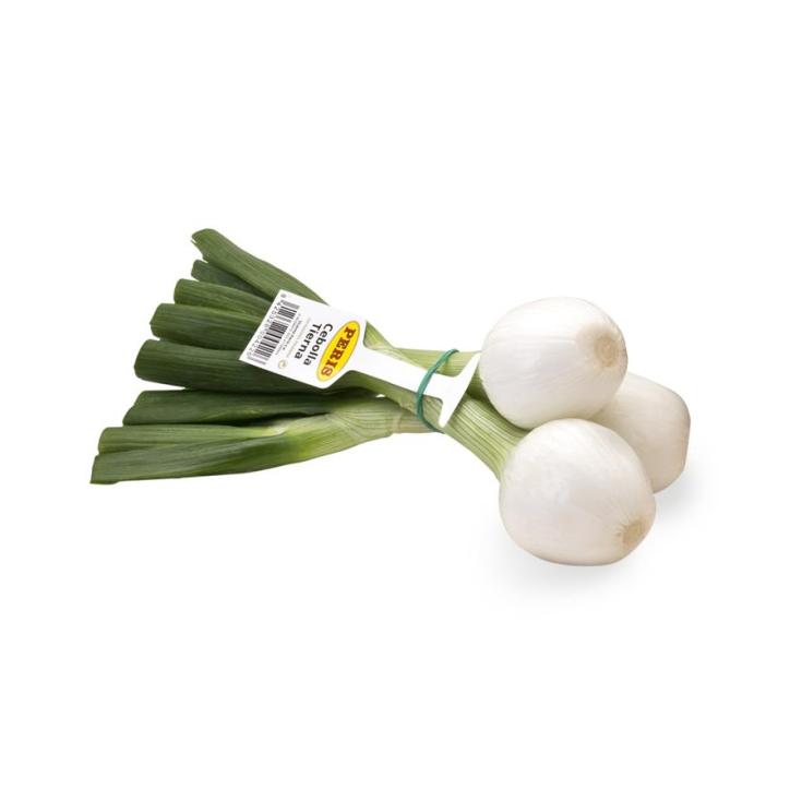 Cebolleta manojo 350g