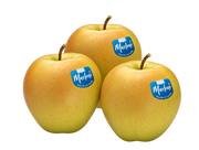 Manzana golden marlene