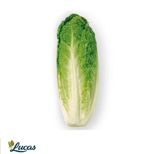 Lechuga bandeja p2 800g La Despensa