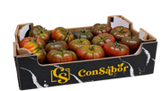 Tomate asurcado marrón