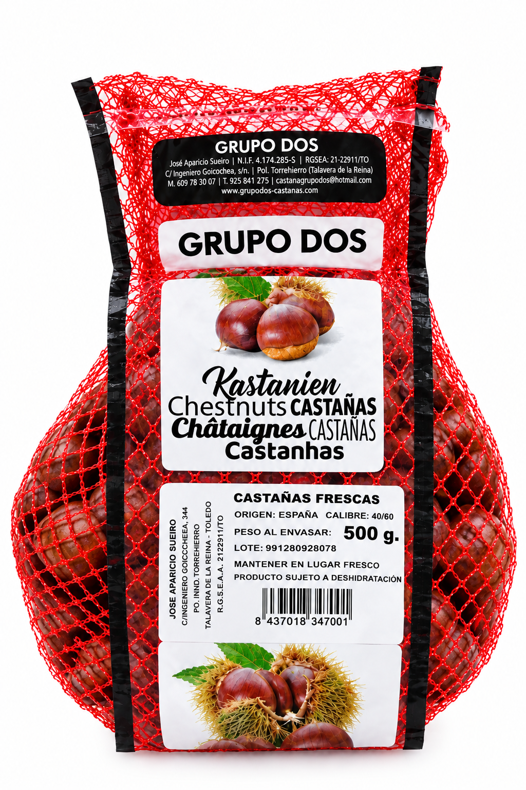Castaña