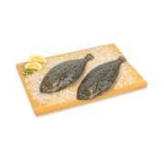 Lenguado guinea